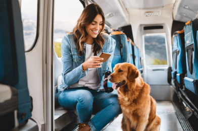 How to Travel with Your Pets: Tips and Tricks